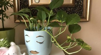 A Short and Simple Guide to Pothos