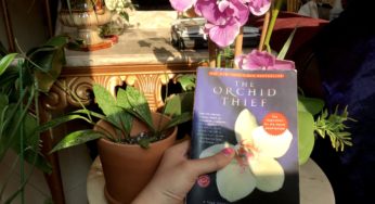 Review: Susan Orlean’s The Orchid Thief Takes a Deep Dive Into the Dramatic World of Orchids