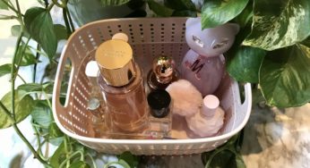 Curating my affordable vanilla fragrance collection