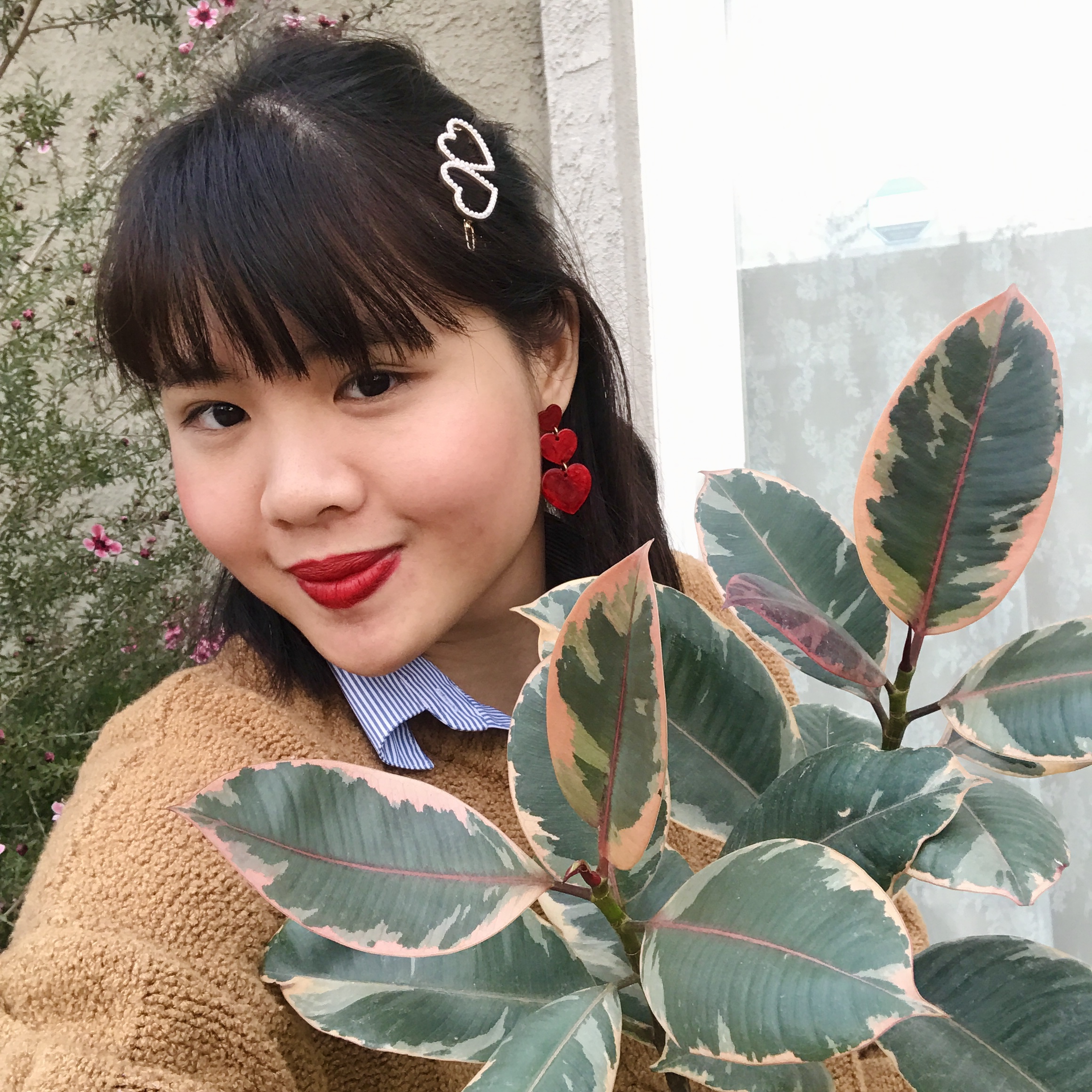 Valentine’s day plants that will impress your houseplant lover