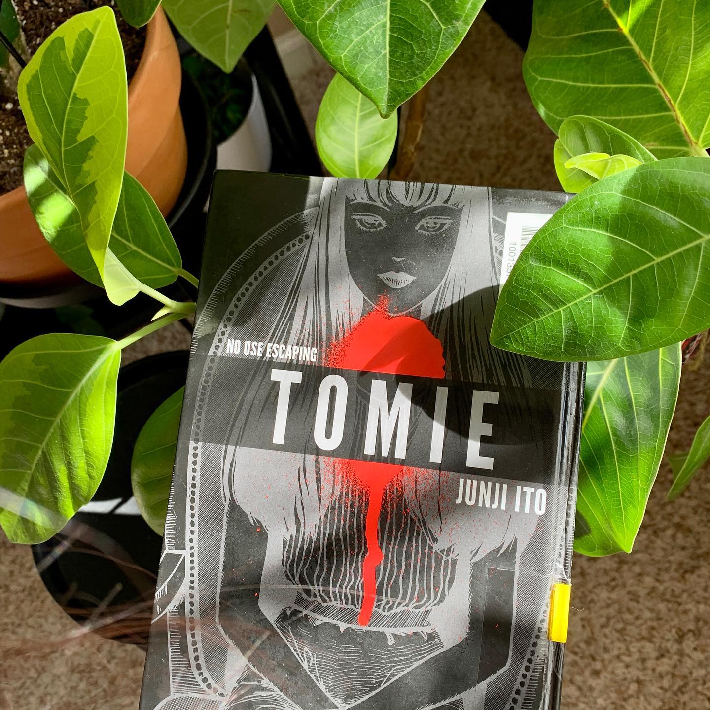 Tomie