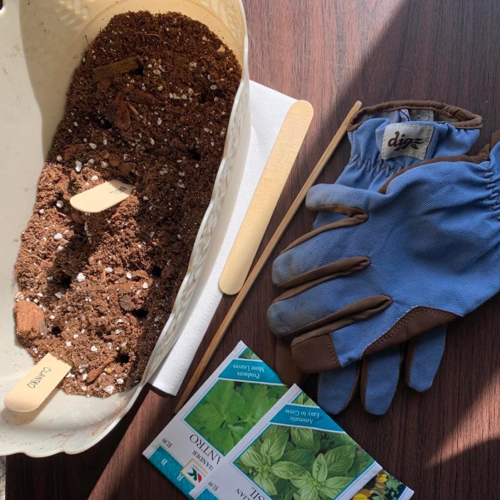 Gloves and seed starting