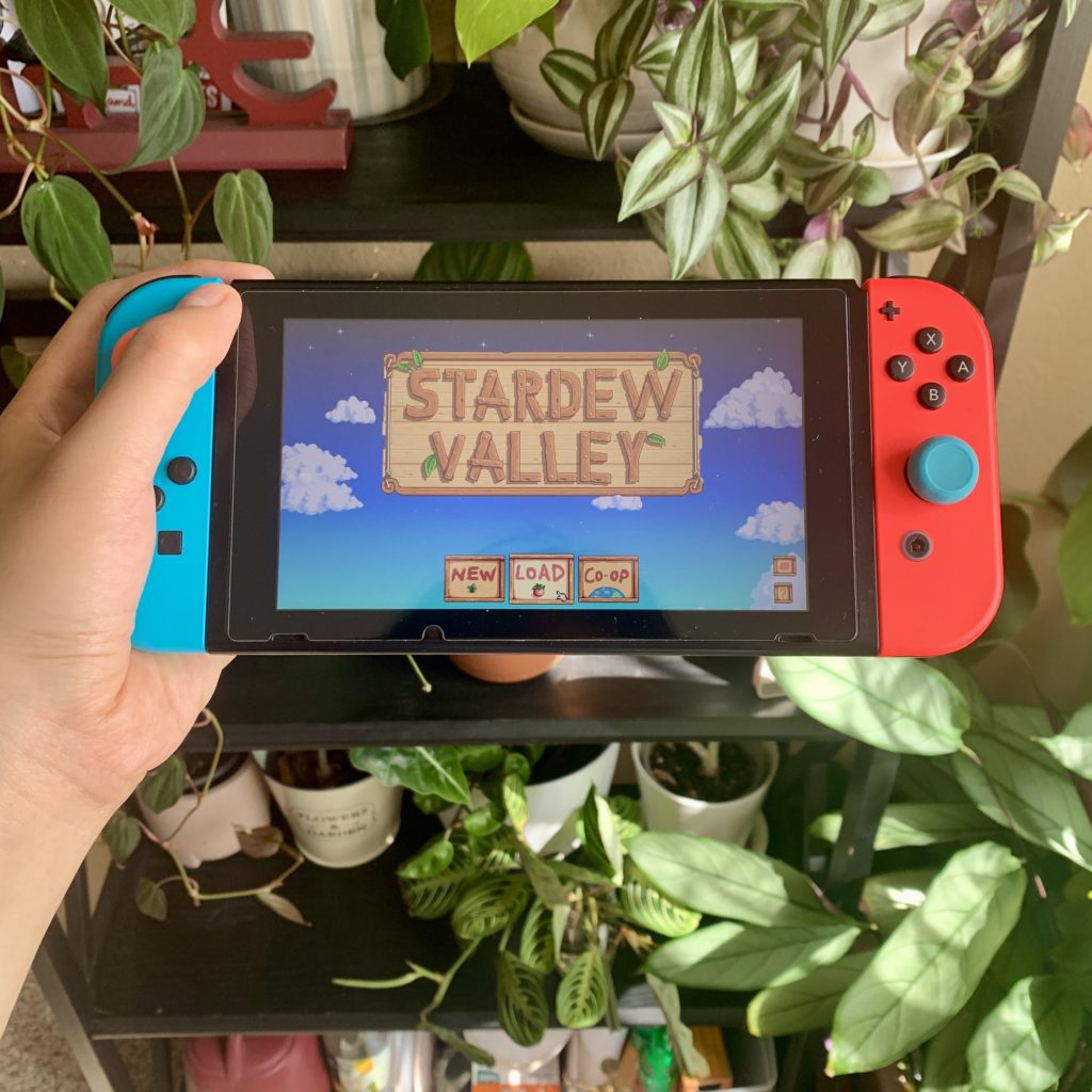 Stardew Valley next to plants