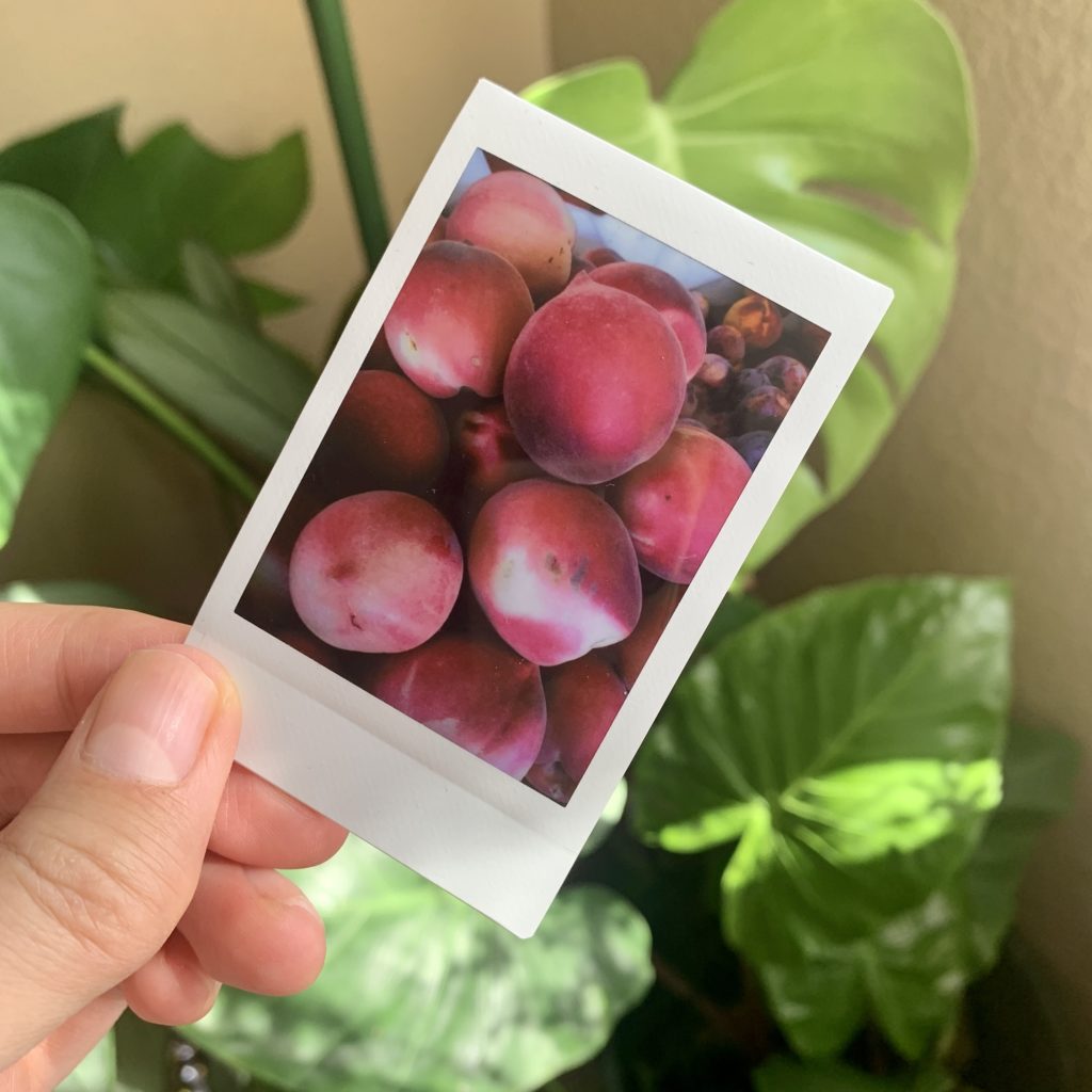 Instax print of peaches