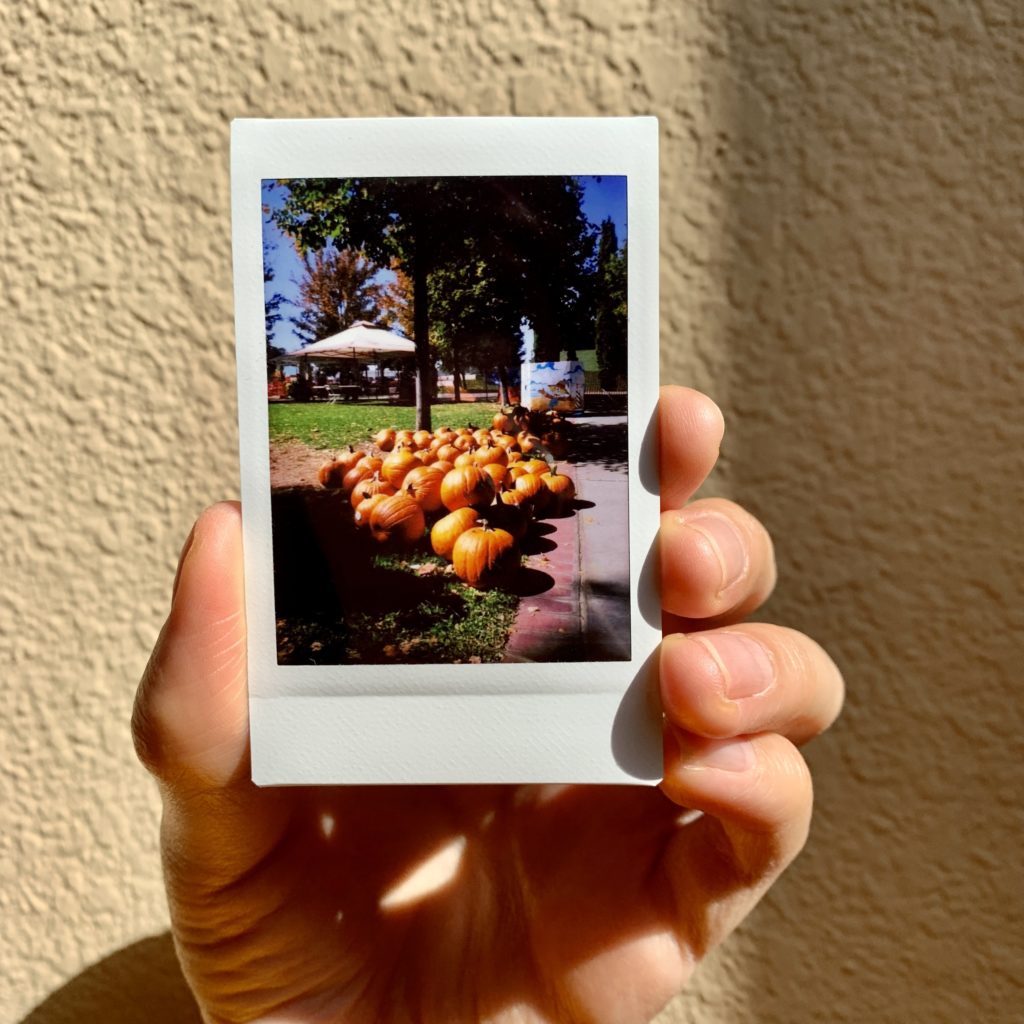 Instax of pumpkin pile