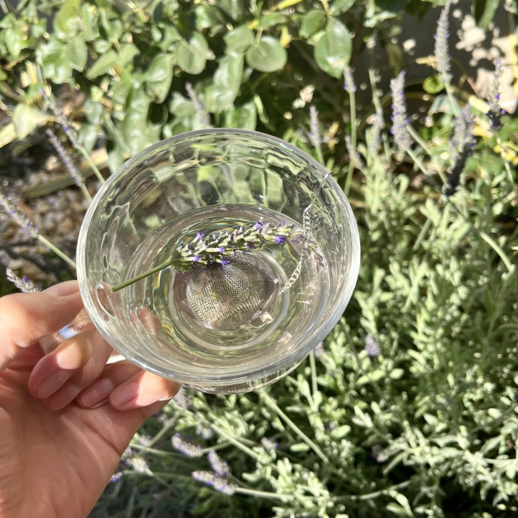 Lavender sprig and tea infuser in a cup of water