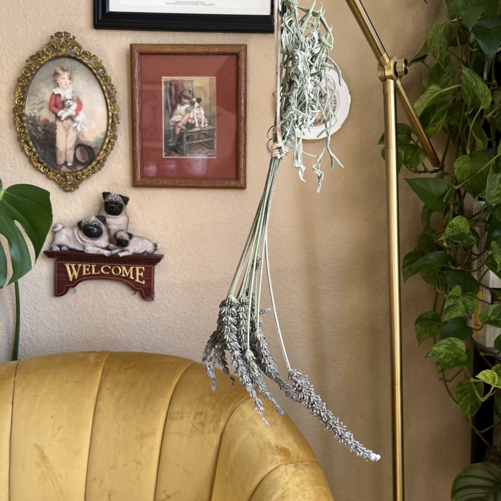 Lavender bundle hanging from gold lamp next to yellow chair and dog gallery wall