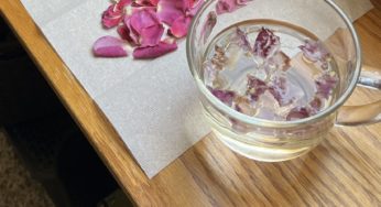 Drying Bulgarian rose to make rose tea 