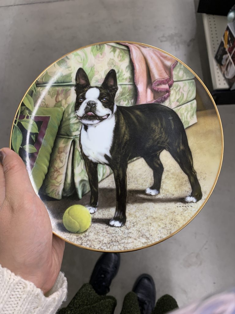 Boston terrier plate with tennis ball