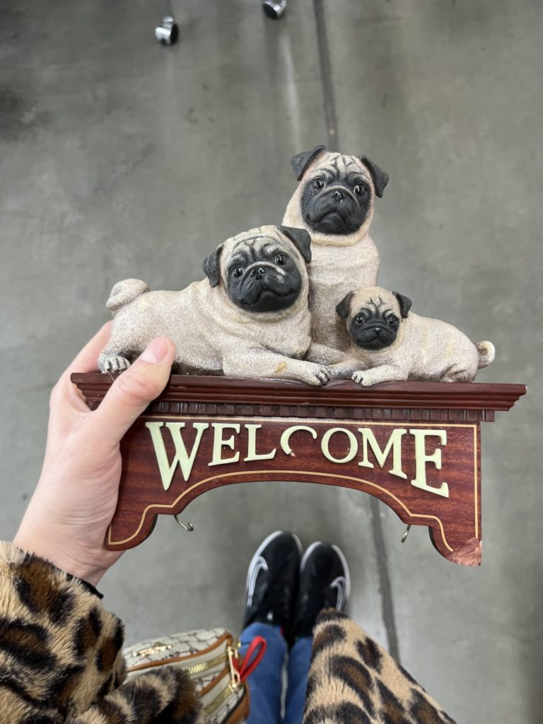 Three pugs on a welcome sign