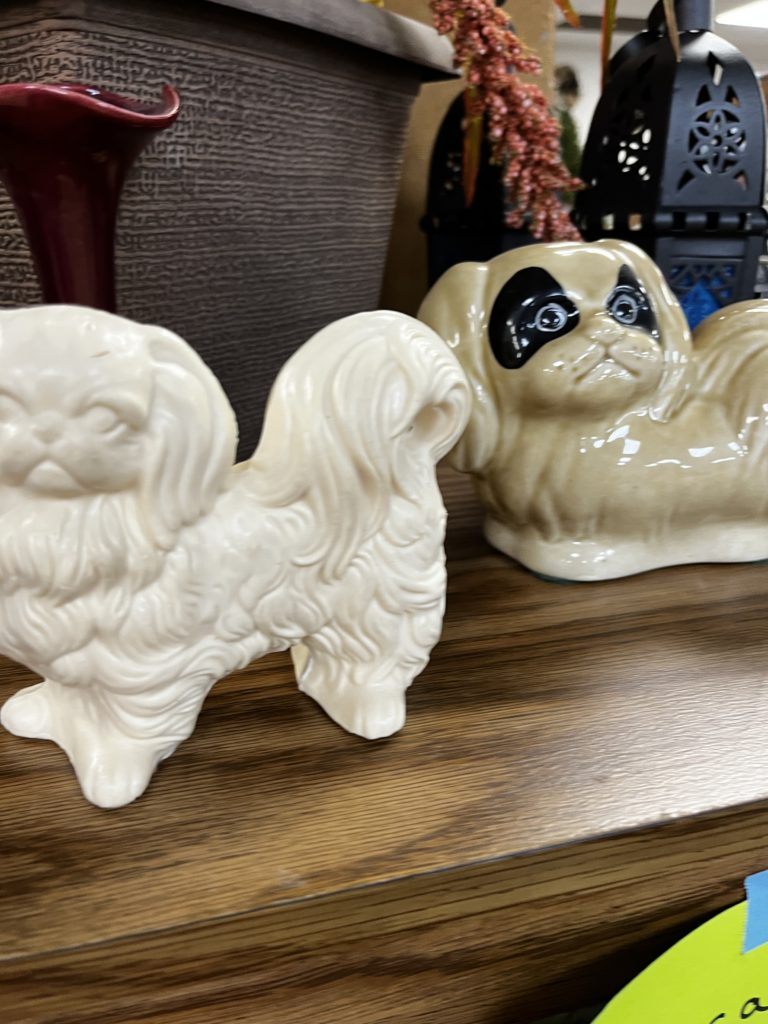 Two dogs