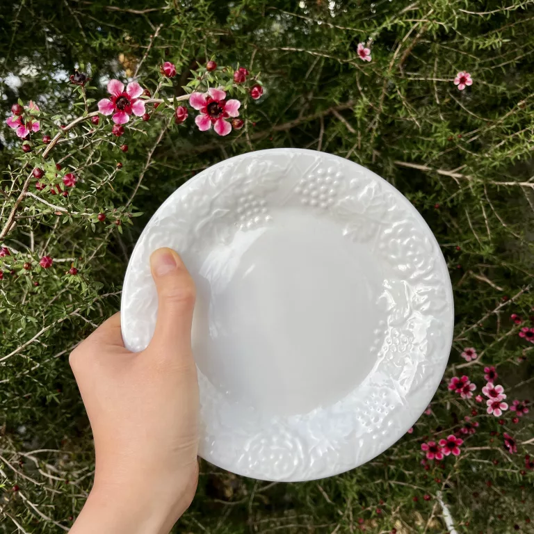 Hand holding white plate