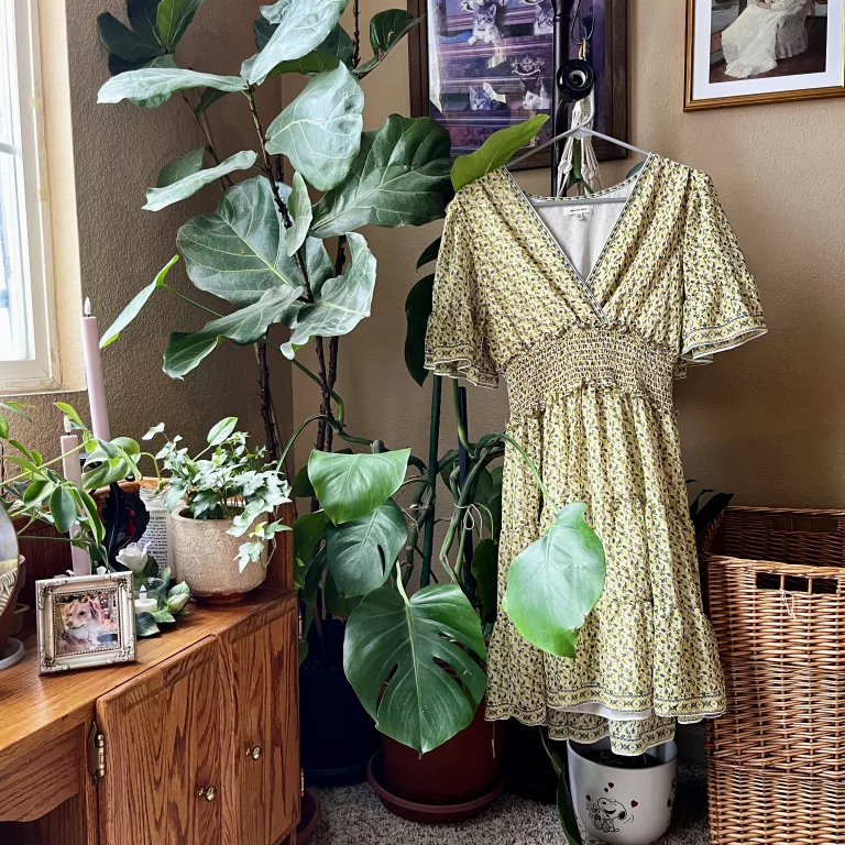 Yellow dress next to fiddle leaf fig tree
