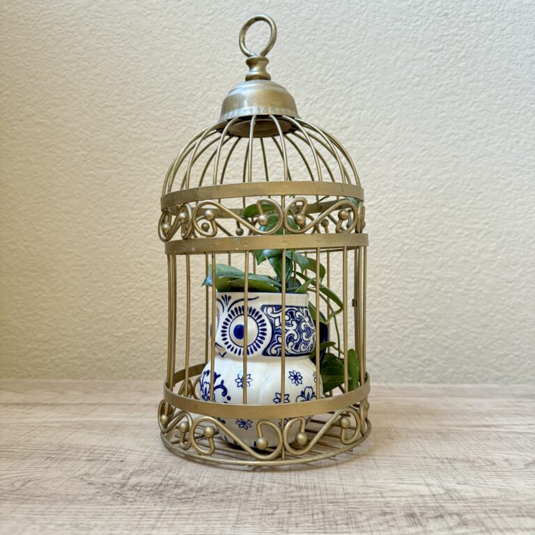 Owl in bird cage