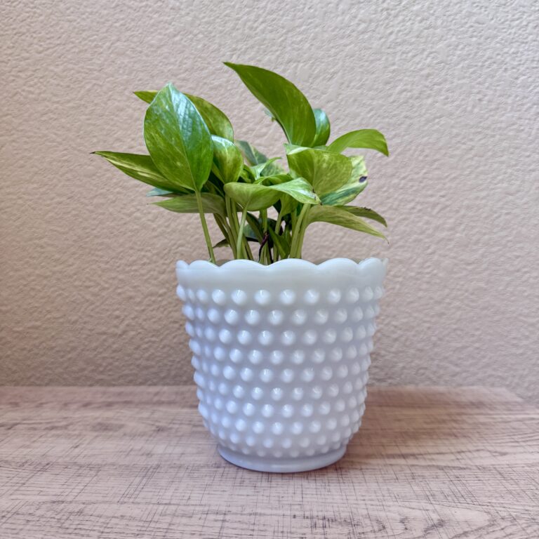 Fenton planter